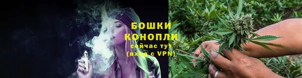 стаф Валдай