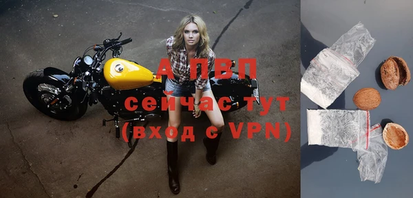 ГАЛЛЮЦИНОГЕННЫЕ ГРИБЫ Остров