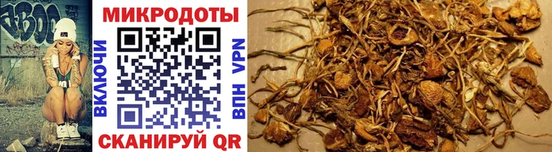 Галлюциногенные грибы MAGIC MUSHROOMS  Поронайск 